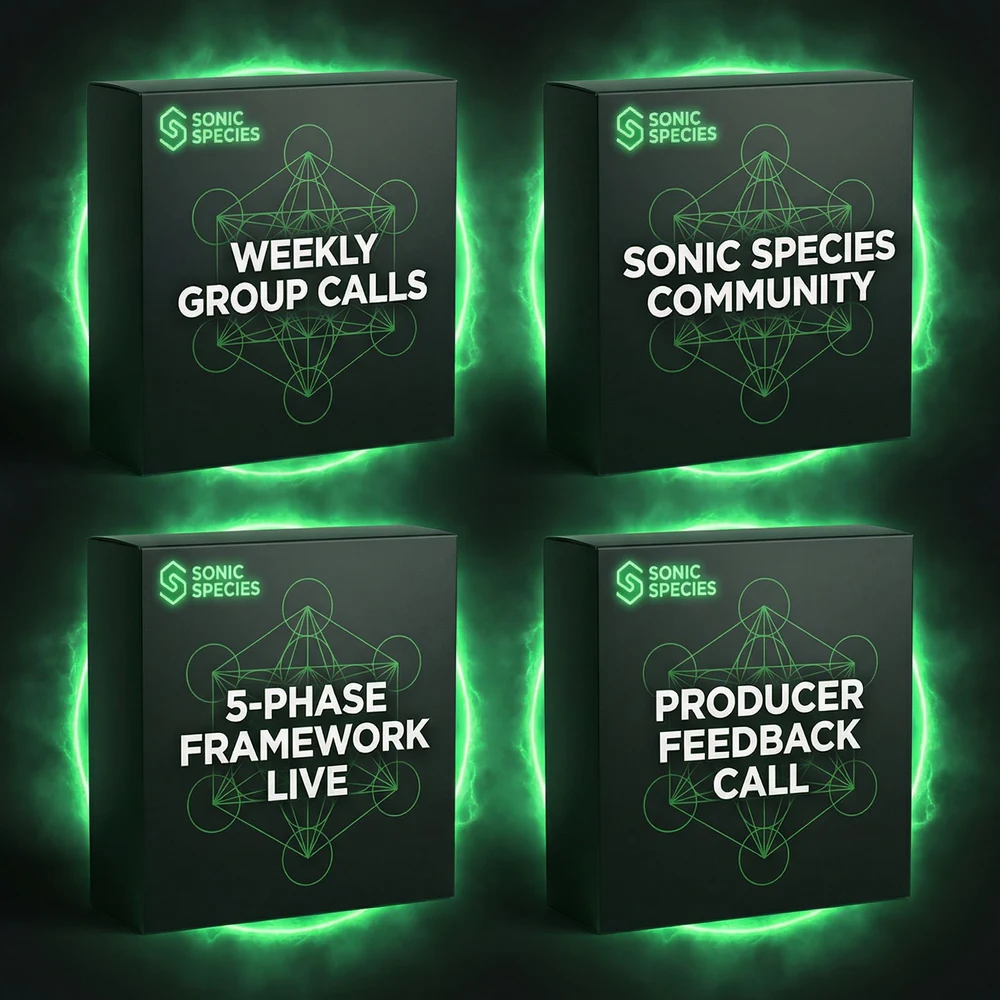 Sonic Mentorship: weekly calls, community, framework live, feedback call
